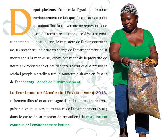 Le Livre blanc de l'Année de l'environnement 2013, verso
